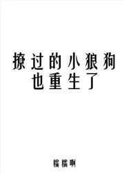 撩过的小狼狗也重生了讲的什么