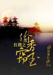 偷香窃玉红楼梦