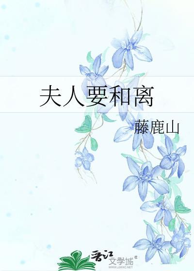 夫人要和离锦书