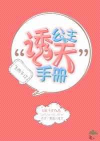 公主追夫手札