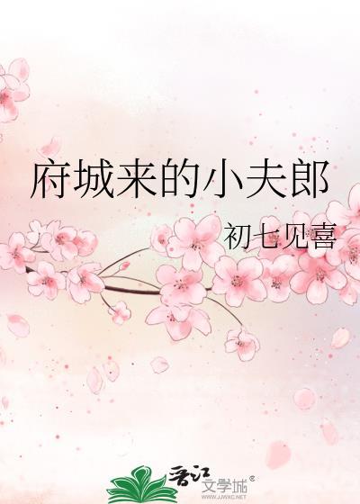 府城来小夫郎txt百度资源
