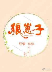 狼崽子百度