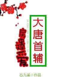 一口气看完大唐房遗爱