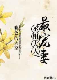 丞相大人宠妻日常全文免费阅读
