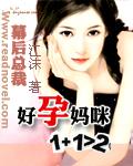 好孕妈咪总裁