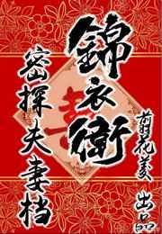 锦衣卫密探夫妻档好看吗