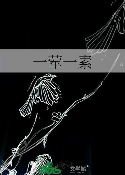 一荤一素伴奏