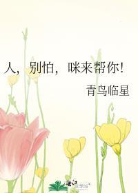 咪来帮你青鸟临星