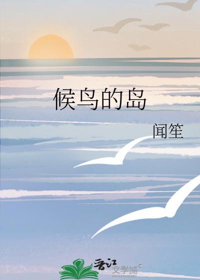 候鸟的岛免费