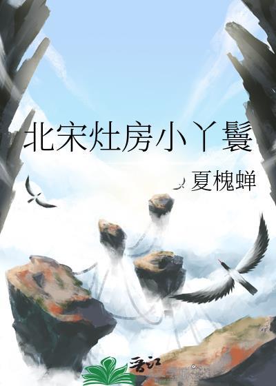北宋灶房小丫鬟完整版阅读