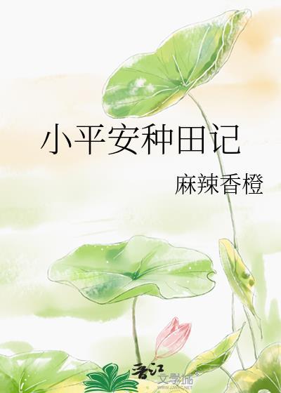 小平安种田记by麻辣香橙txt