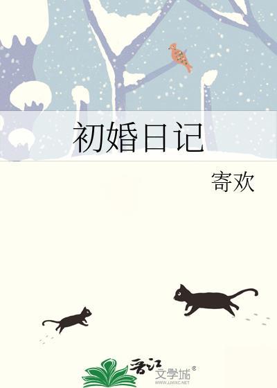 初婚日记寄欢TXT百度