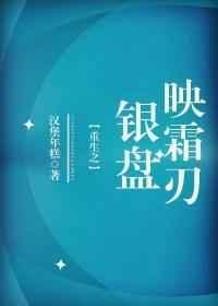 重生之银盘映霜刃作者汉堡年糕
