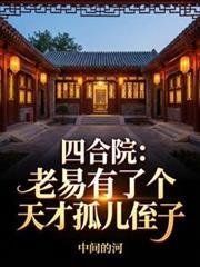 四合院老易失散的儿子