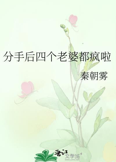 分手后四个老婆都疯啦TXT百度网