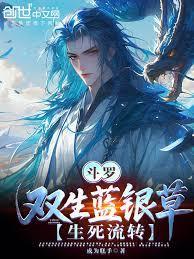 斗罗双生蓝银草生死流转笔趣阁