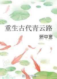 古言青云路