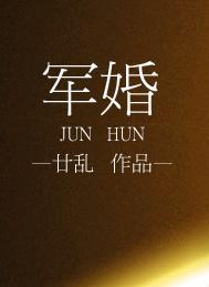军婚甜宠文
