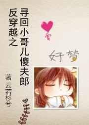 反穿越寻回哥儿傻夫郎txt