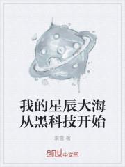 我的星辰大海歌曲