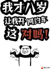 我才八岁让我开网约车可以吗