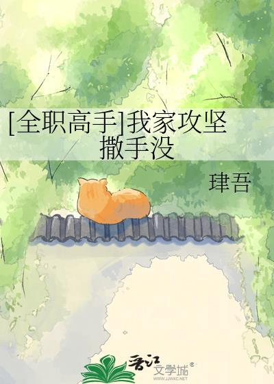全职高手同人主攻