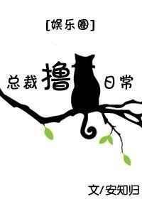 总裁叽