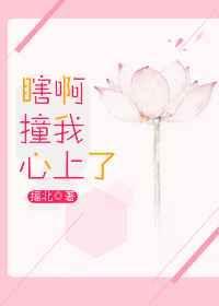 瞎啊撞我心上在线全文