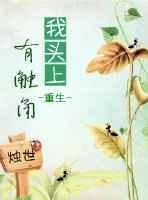 头上有触角的鱼叫什么名字