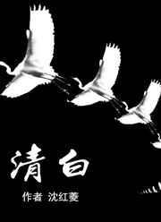 清白之年讲的什么