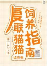 复联猫猫饲养指南 胖丁2号