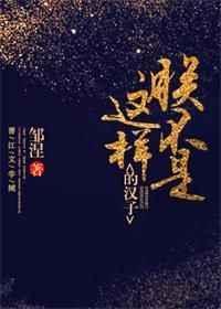 朕不是这样的汉子by邹涅