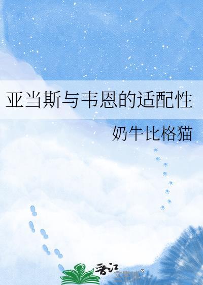 亚当 韦伯斯特水平
