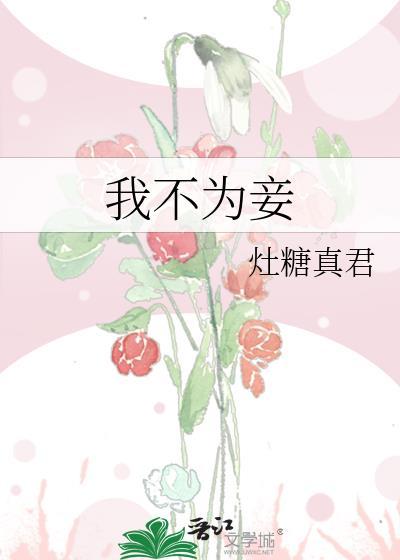 我不为妾 灶糖真君