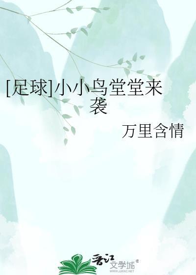 小小鸟街头艺人全部视频播放列表