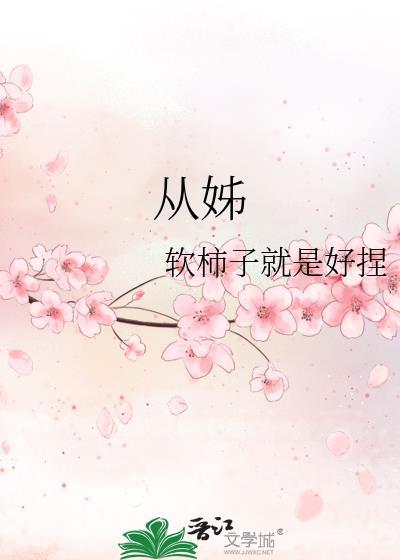 从姊妹 文言文中怎么说