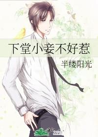下堂妾再嫁为妃