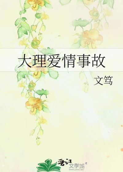 大理爱情事故百度