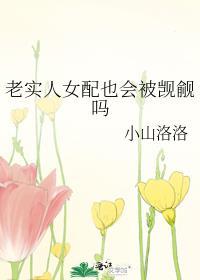 老实人女配也会被觊觎吗晋江