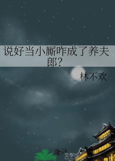 说好当小厮林不欢
