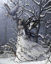 喵种族值