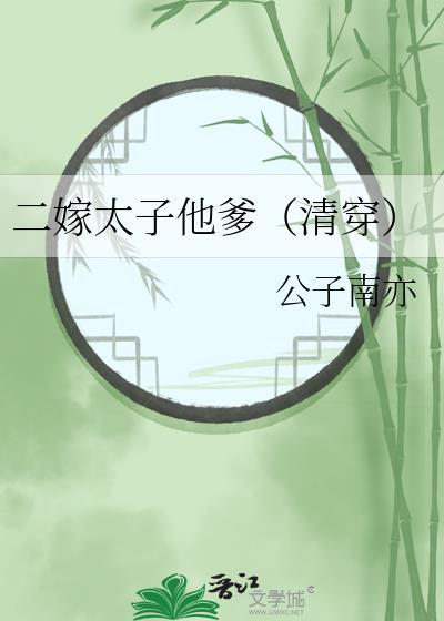 二嫁太子他爹(清穿)txt