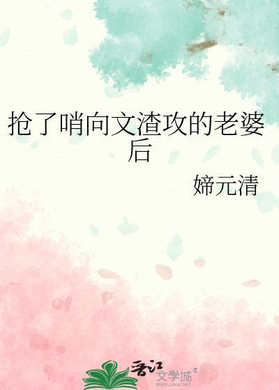 抢了哨向文渣攻的老婆后晋江