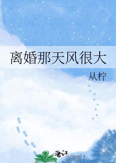 离婚那天风很大全文免费阅读