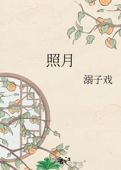 照月的意思