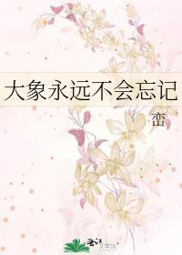 大象永不忘记完整版