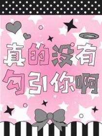 我真正没有引诱他txt