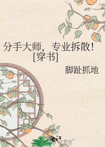 分手大师1
