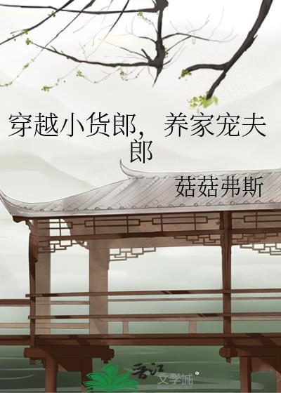 穿越小货郎养家宠夫郎txt百度