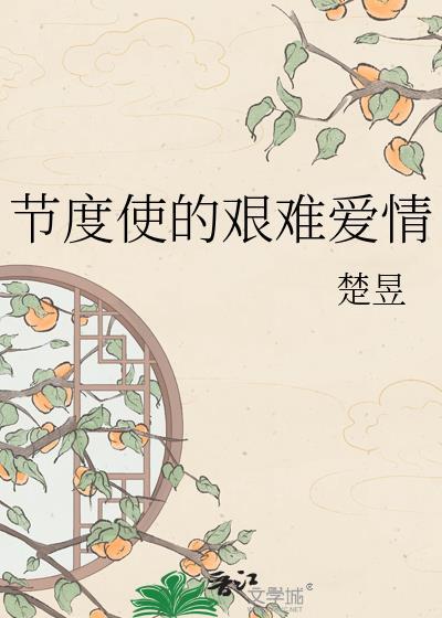 节度使的艰难爱情全文免费阅读正版